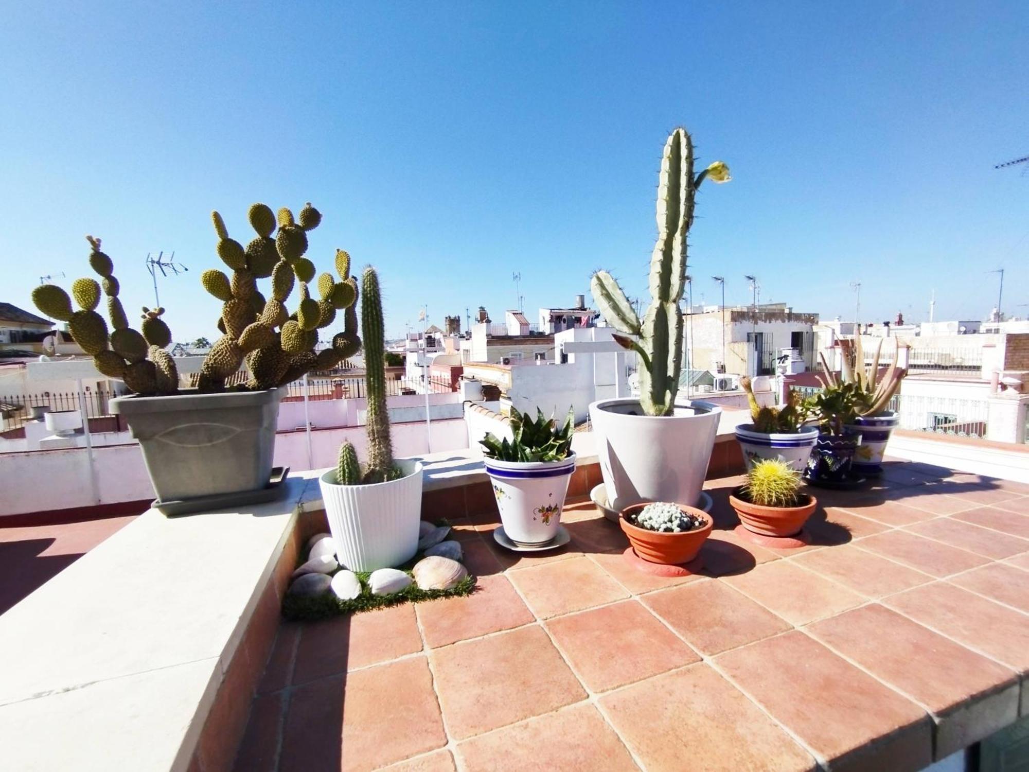 塞维利亚Casa Gavidia - Duplex With Panoramic View公寓 外观 照片